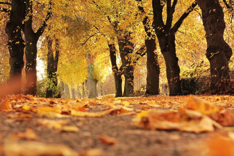 Leuke Activiteiten in Zeeland Tijdens de Herfst